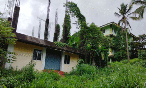 കാ​ടു​മൂ​ടി പോ​ളി​ടെ​ക്നി​ക് കെ​ട്ടി​ടം