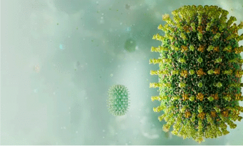 ജില്ലയിൽ പ്രതിരോധ പ്രവർത്തനം പ്രഹസനമെന്ന്; ഡെങ്കിപ്പനി, എച്ച്1 എൻ1 വ്യാപകം