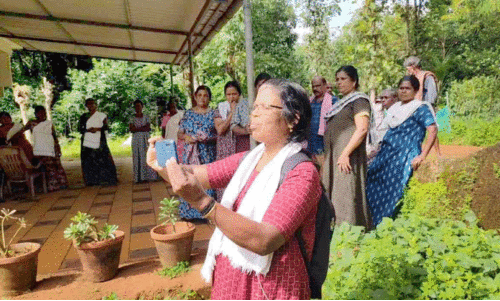 മൊ​ബൈ​ൽ മോ​ണി​റ്റ​റി​ങ് സി​സ്റ്റം ആ​പ്