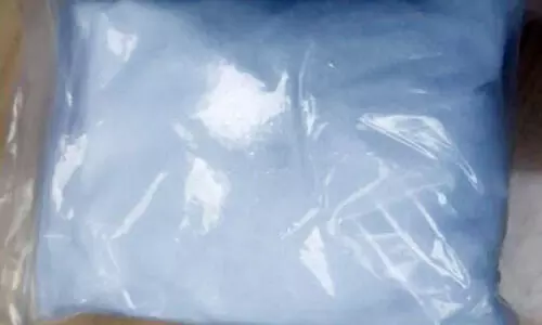 ത​പാ​ൽ പാ​ർ​സ​ലി​ൽ ക​ട​ത്തി​യ മ​യ​ക്കു​മ​രു​ന്ന് പി​ടി​കൂടി