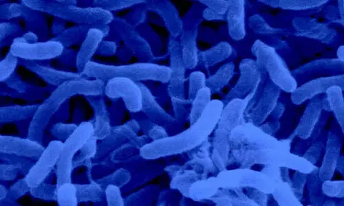 കോ​ള​റ പ​ട​രു​മ്പോ​ഴും ഉ​റ​വി​ടം ക​ണ്ടെ​ത്താ​നാ​കാ​തെ ആ​രോ​ഗ്യ​വ​കു​പ്പ്