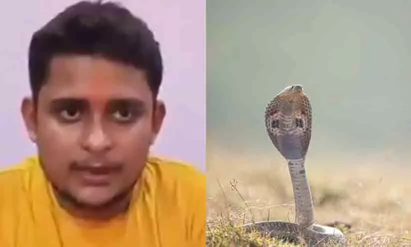 എല്ലാ ശനിയാഴ്ചയും ഈ യുവാവിനെ പാമ്പ് കടിക്കും; അമ്പരന്ന് ഡോക്ടർമാർ -അന്വേഷണത്തിന് വിദഗ്ധ സംഘം