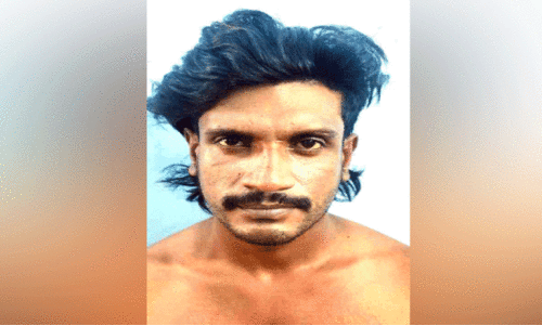 നിരവധി മോഷണ, പീഡനക്കേസുകളിലെ പ്രതി പിടിയിൽ