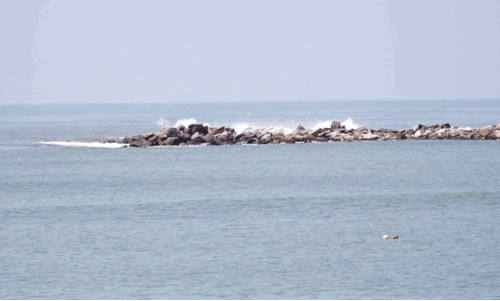 പൊ​ന്നാ​നി ഹാ​ർ​ബ​ർ; പു​ലി​മു​ട്ടിൽ അ​റ്റ​കു​റ്റ​പ്പണി​ക്ക് തു​ട​ക്ക​മാ​കു​ന്നു