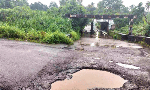 ശബരി ​െറയില്‍പാതയും അനുബന്ധ പ്രദേശങ്ങളും കൈയടക്കി സാമൂഹികവിരുദ്ധർ