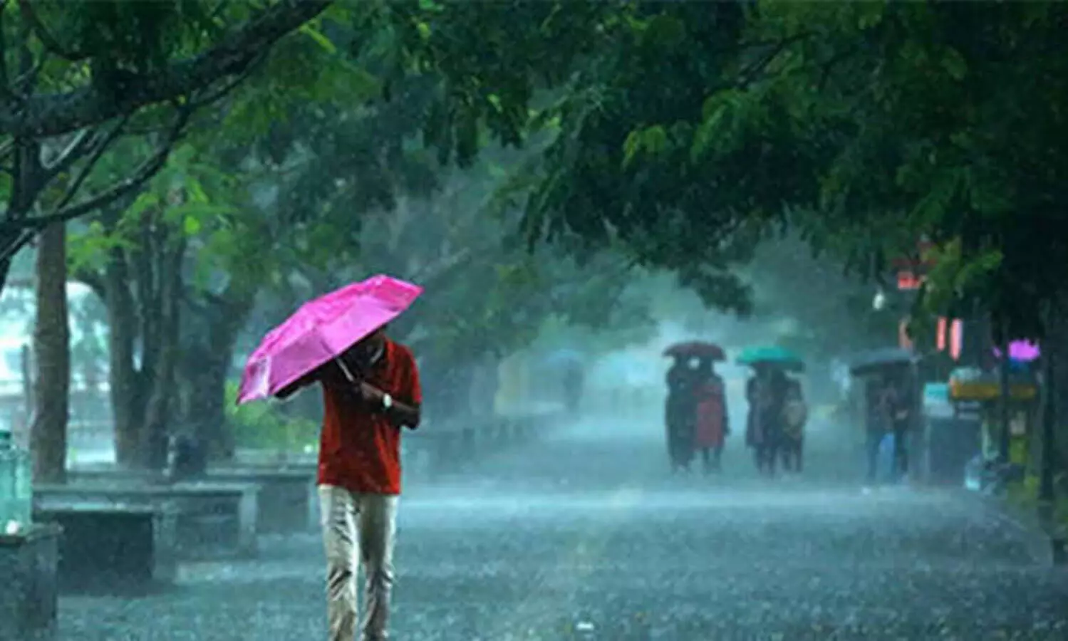 മഴ: ആറ് ജില്ലകളി‍ലെ വിദ്യാഭ്യാസ സ്ഥാപനങ്ങൾക്ക് നാളെ  അവധി