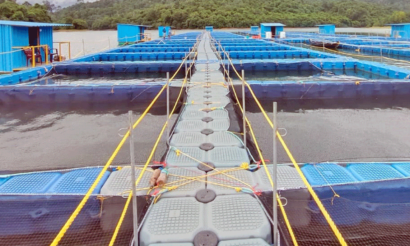 മ​ത്സ്യ​ക്കൂ​ട്