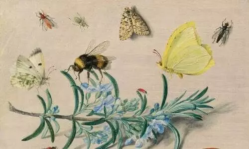 കവിത- മിന്നാമിനുങ്ങും നേർക്കാഴ്ചയും കവിത- മിന്നാമിനുങ്ങും നേർക്കാഴ്ചയും