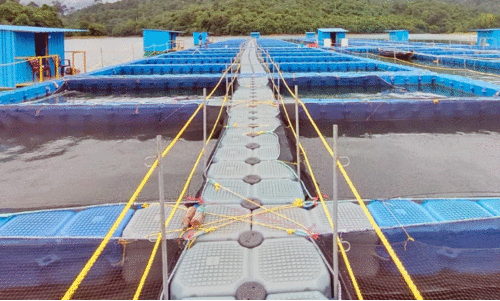 മ​ത്സ്യ​ക്കൂ​ട്