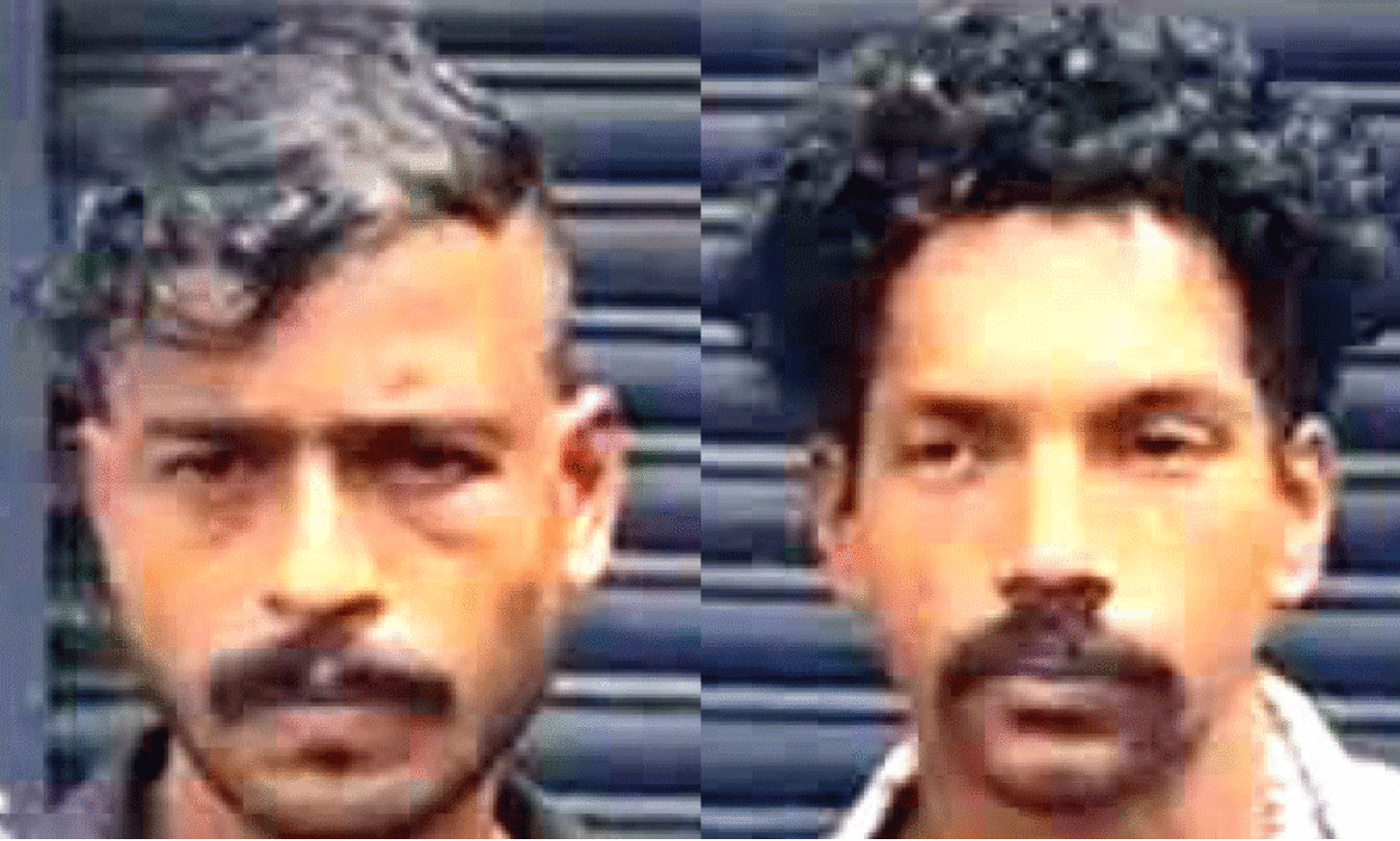 മത്സ്യവിൽപനക്കാരിയെ ആക്രമിച്ച് പണം കവർന്ന പ്രതികൾ പിടിയിൽ