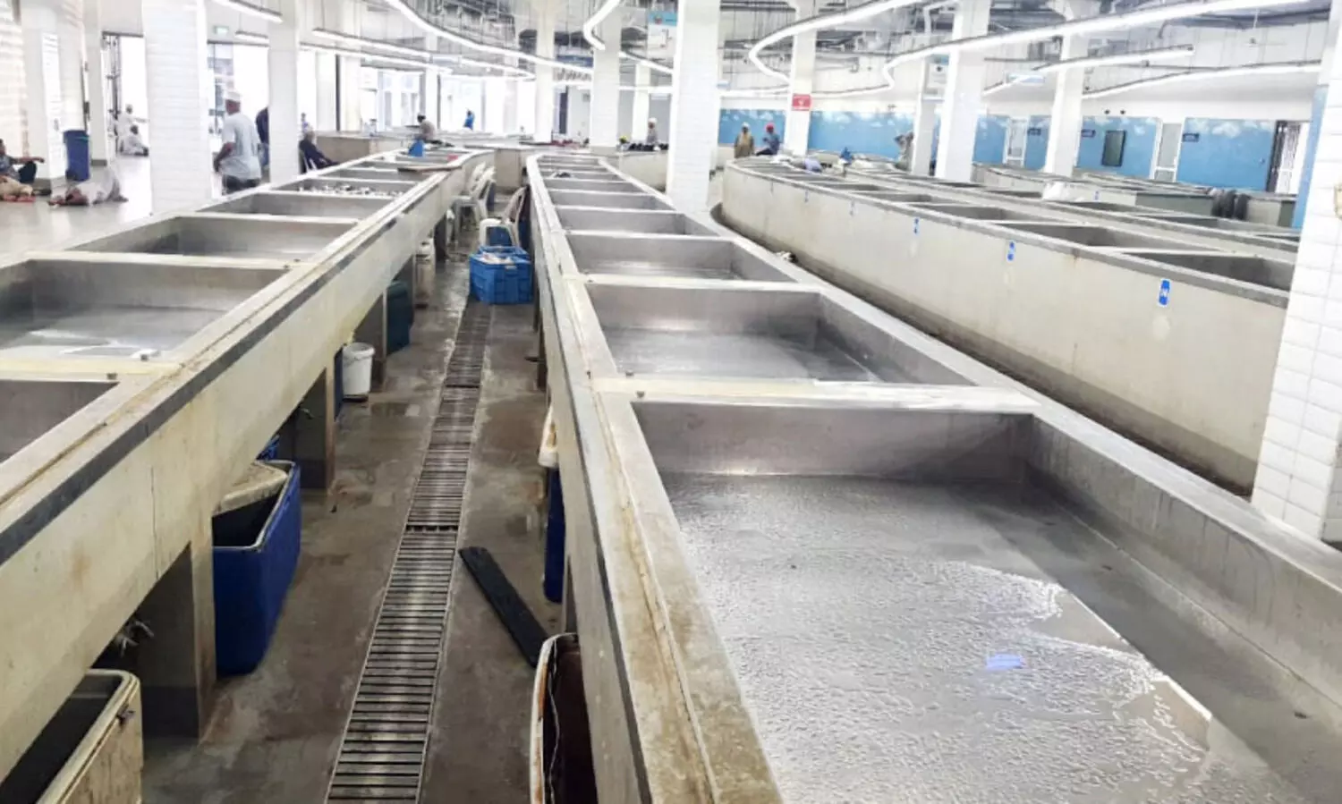 ചൂ​ട് കൂ​ടി; മ​ത്സ്യക്ഷാ​മം രൂ​ക്ഷം