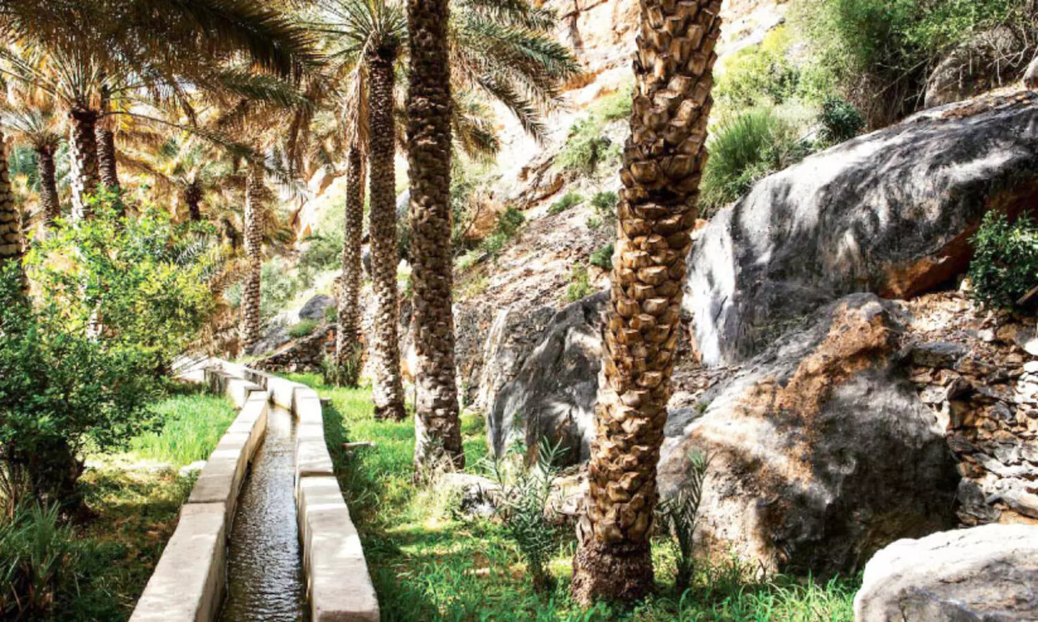 83 ഫ​ല​ജു​ക​ളു​ടെ അ​റ്റ​കു​റ്റ​പ്പ​ണി​ പൂ​ർ​ത്തി​യാ​ക്കി