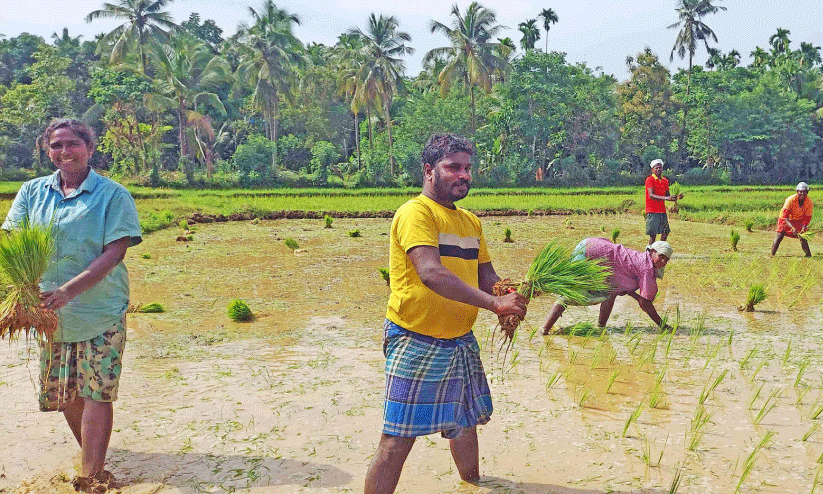 ‘ഒറു കെട്ട് നാറെടുത്തിട്ട് കൈക്ക് എട്ടുറുമാറ് കൊഞ്ച് നടണം...’
