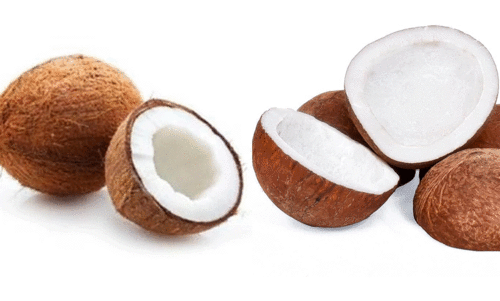 തേ​ങ്ങ, കൊ​പ്ര വി​ല​ക​ളി​ൽ ഉ​ണ​ർ​വ്‌ പ്ര​തീ​ക്ഷി​ച്ച്‌ ക​ർ​ഷ​ക​ർ