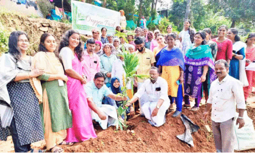 ഓക്സിജൻ പാർക്കുമായി മീനങ്ങാടി ഗ്രാമപഞ്ചായത്ത് ഓക്സിജൻ പാർക്കുമായി മീനങ്ങാടി ഗ്രാമപഞ്ചായത്ത്
