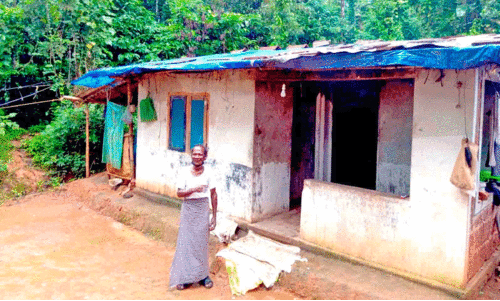 മാ​റ്റ​മി​ല്ലാ​തെ ചോ​രു​ന്ന കൂ​ര​യി​ലെ ആ​ദി​വാ​സി ജീ​വി​ത​ങ്ങ​ൾ