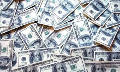 ഷ​വ​ർ​മ​ക്കു​ള്ളി​ൽ ഒ​ളി​പ്പി​ച്ച് കു​വൈ​ത്തി​ലേ​ക്ക് പൗ​ണ്ട് ക​ട​ത്താ​ൻ ശ്ര​മം