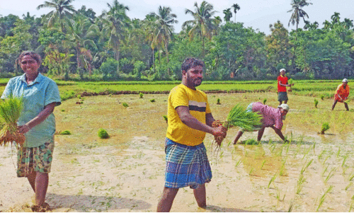 ‘ഒറു കെട്ട് നാറെടുത്തിട്ട് കൈക്ക് എട്ടുറുമാറ് കൊഞ്ച് നടണം...’