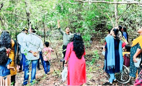 Chengannur Christian College Chengannur Christian College