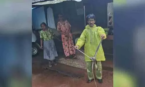 വീടിന്റെ മേല്‍ക്കൂരയില്‍ കഴിഞ്ഞ പാമ്പുകളെ പിടികൂടി