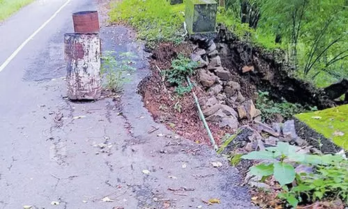 ഭൂരേഖകൾ പരിപാലിക്കുന്നതിനും പരിഷ്കരിക്കുന്നതിനും വനം വകുപ്പിന് കർശന നിർദേശം നൽകണമെന്ന് സി.എ.ജി