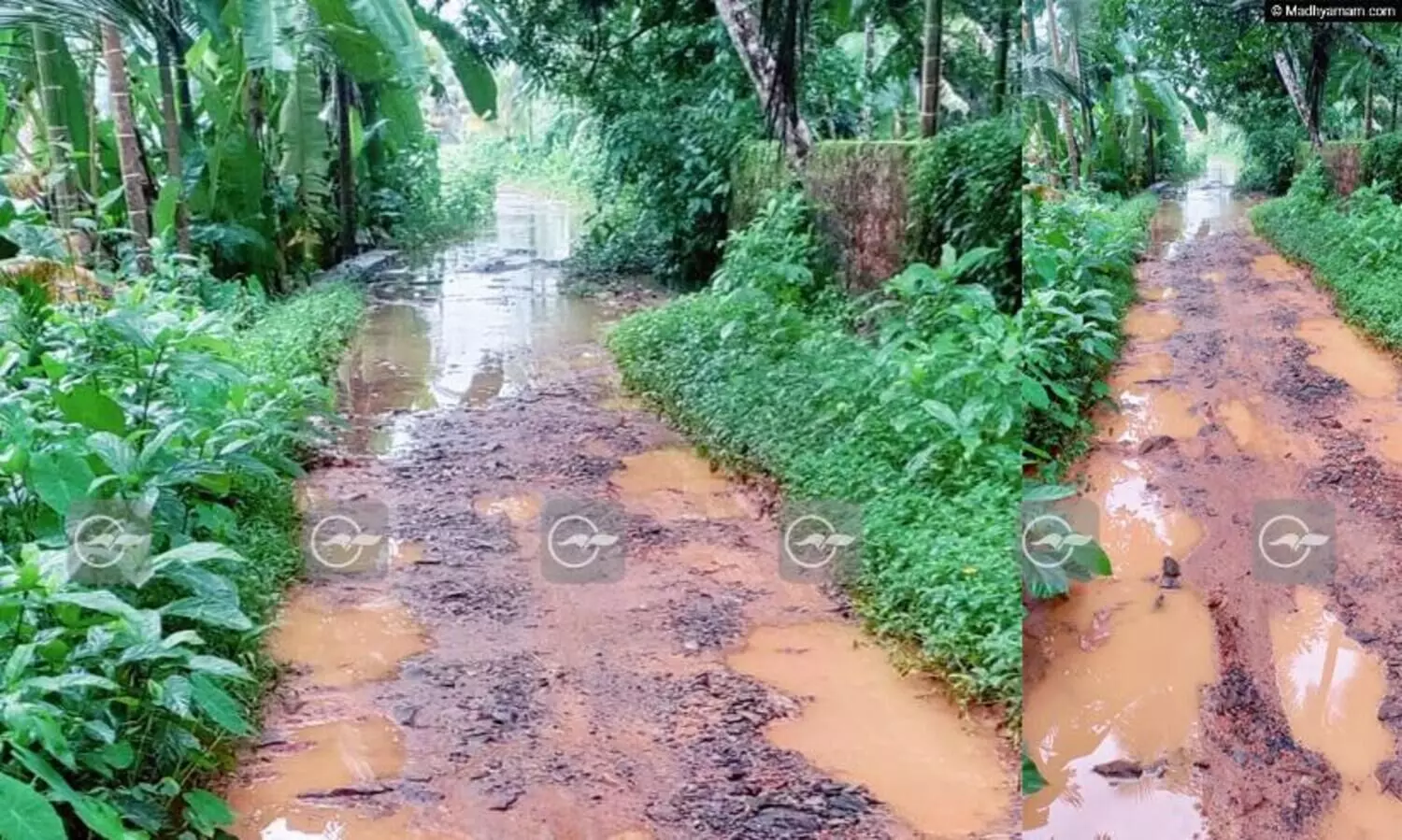 Vakamoli Karimbil Thazhe road