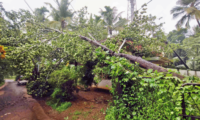 Widespread destruction Widespread destruction