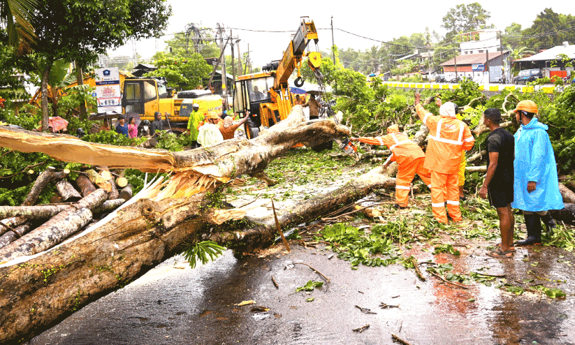 heavy rain heavy rain