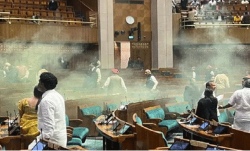 പാ​ർ​ല​മെ​ന്റി​ലെ സു​ര​ക്ഷാ വീ​ഴ്ച: അ​നു​ബ​ന്ധ കു​റ്റ​പ​ത്രം സ​മ​ർ​പ്പി​ച്ചു