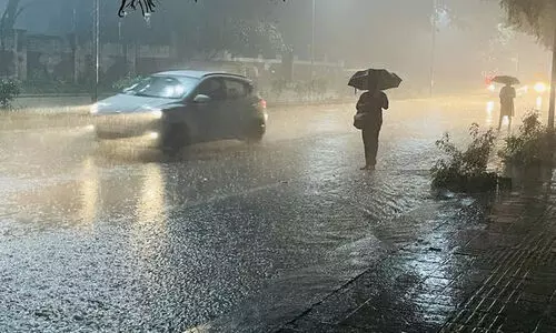 വയനാട് നാളെ വിദ്യാഭ്യാസ സ്ഥാപനങ്ങൾക്ക് അവധി