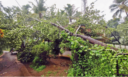 Widespread destruction Widespread destruction