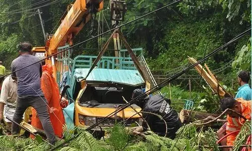 മലപ്പുറത്ത് രണ്ടിടത്ത് വാഹനങ്ങൾക്ക് മുകളിൽ മരംവീണു; രണ്ടുപേർക്ക് പരിക്ക്