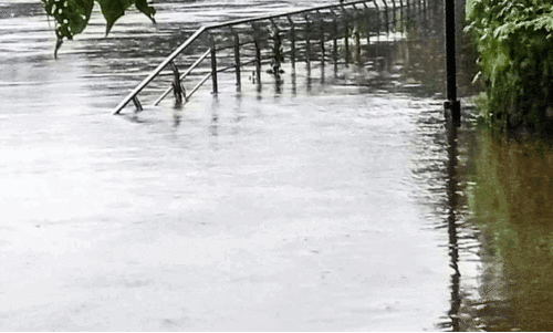 Waterlogging Waterlogging