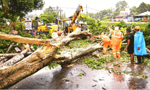 heavy rain heavy rain