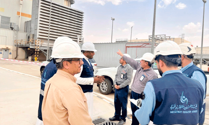 Electricity Regulatory Authority