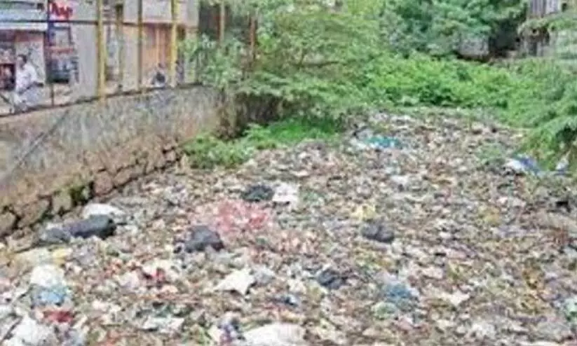 ആമയിഴഞ്ചാൻ തോട്​; കോർപറേഷനെയും ജലസേചന വകുപ്പിനെയും കുറ്റപ്പെടുത്തി റെയിൽവേ