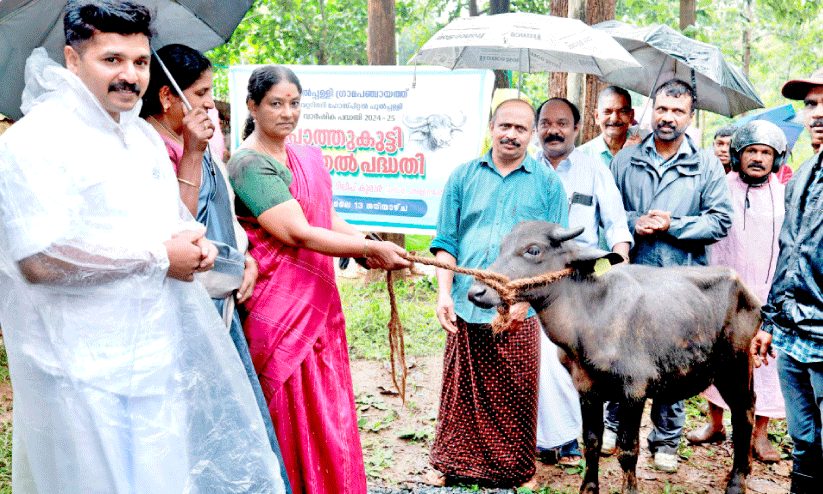 പോ​ത്തു​വ​ള​ർ​ത്ത​ലി​ലൂ​ടെ ഭ​ക്ഷ്യ​സു​ര​ക്ഷ; പ​ദ്ധ​തി​യു​മാ​യി പു​ൽ​പ​ള്ളി
