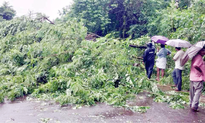 തോരാതെ മഴ , ഒഴിയാതെ നാശം തോരാതെ മഴ , ഒഴിയാതെ നാശം