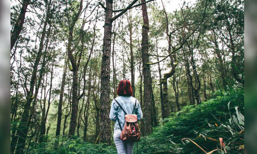 പെൺയാത്രക്കൊപ്പം ​സ്ത്രീ സംരംഭവും;  സ്ത്രീസൗഹൃദ വിനോദസഞ്ചാര പദ്ധതിയുമായി ടൂറിസം വകുപ്പ്