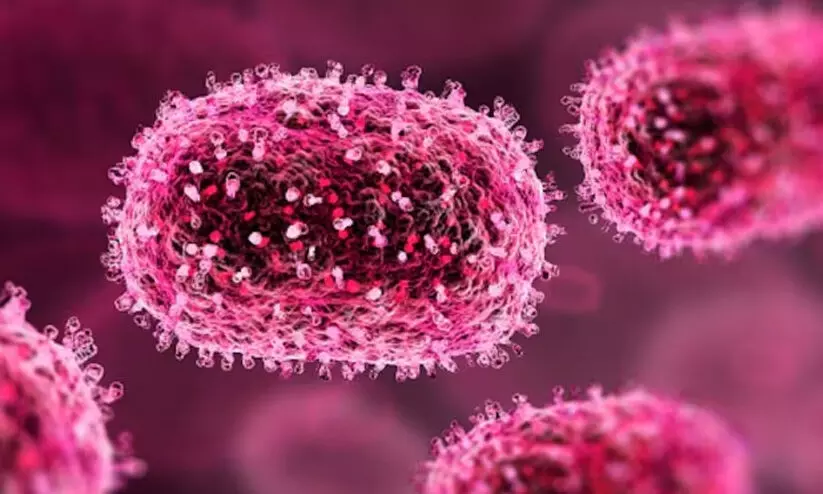 ഗുജറാത്തിൽ അപൂർവ വൈറസ് ബാധിച്ച് എട്ട് പേർ മരിച്ചു ഗുജറാത്തിൽ അപൂർവ വൈറസ് ബാധിച്ച് എട്ട് പേർ മരിച്ചു