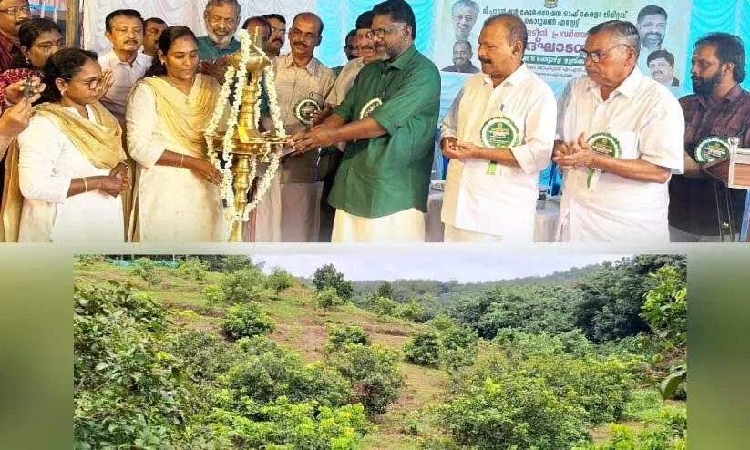 Kodumon Plantation Kodumon Plantation