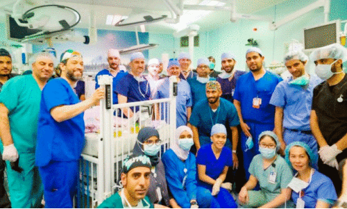 First Siamese International  conference