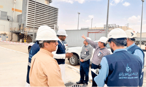 Electricity Regulatory Authority