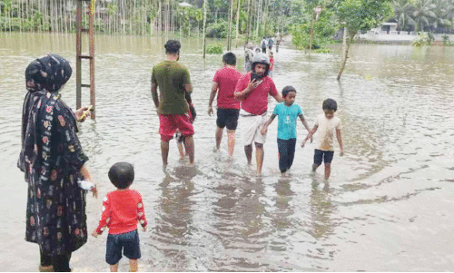 മഴ: താഴ്ന്ന പ്രദേശങ്ങൾ വെള്ളത്തിൽ