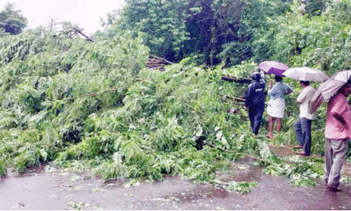 തോരാതെ മഴ , ഒഴിയാതെ നാശം