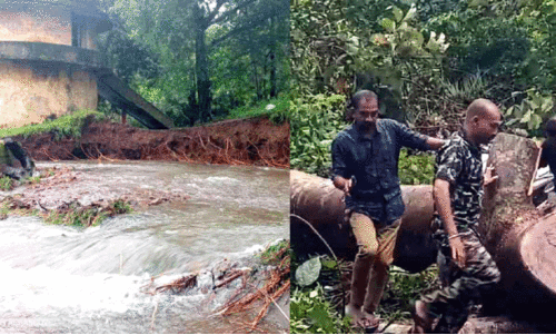 കാറ്റും മഴയും: അച്ചൻകോവിലിൽ വൻ നാശം; നാല് വീട് തകർന്നു കാറ്റും മഴയും: അച്ചൻകോവിലിൽ വൻ നാശം; നാല് വീട് തകർന്നു