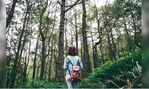 പെൺയാത്രക്കൊപ്പം ​സ്ത്രീ സംരംഭവും;  സ്ത്രീസൗഹൃദ വിനോദസഞ്ചാര പദ്ധതിയുമായി ടൂറിസം വകുപ്പ്