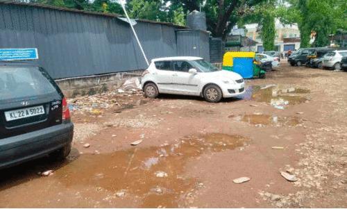 മെഡിക്കല് കോളജിലെ ഭക്ഷണശാല പരിസരം വൃത്തിഹീനം മെഡിക്കല് കോളജിലെ ഭക്ഷണശാല പരിസരം വൃത്തിഹീനം