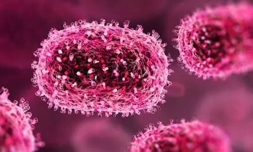 ഗുജറാത്തിൽ കടുത്ത ആശങ്കയായി ചാന്ദിപുര വൈറസ്; മരിച്ചത് 15 പേർ, കൂടുതൽ പേരിലേക്ക് രോഗം പടരുന്നു