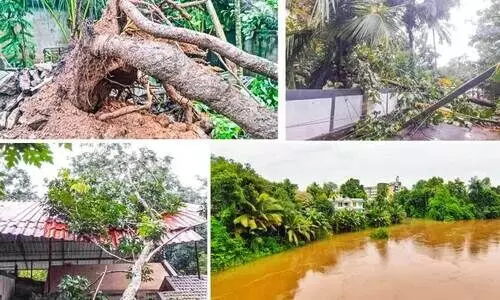 widespread destruction